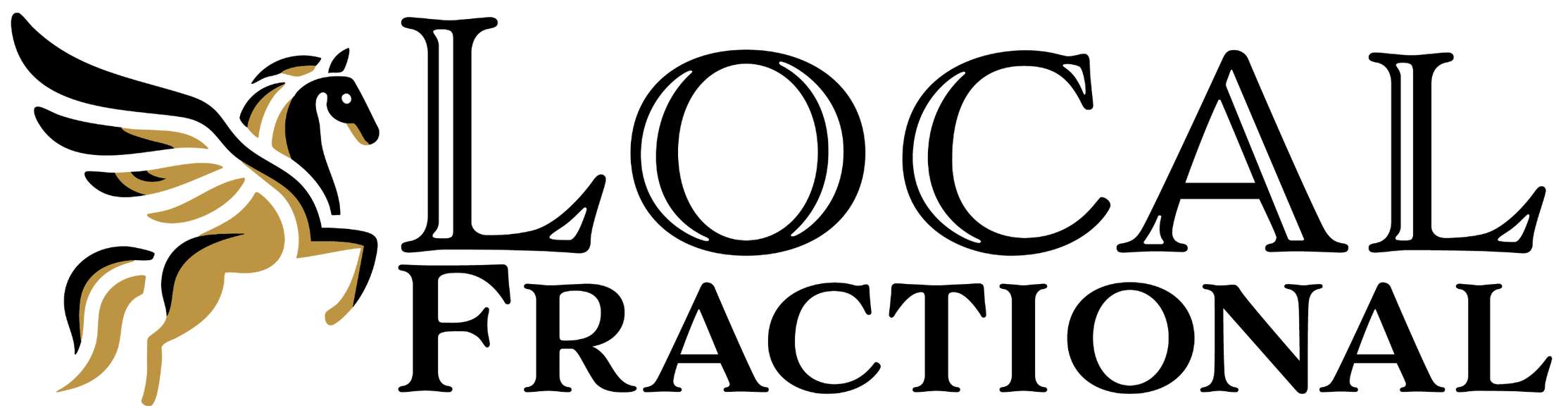 Dallas Fractional CFO by Local Fractional LLC